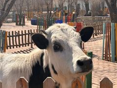 -水上乐园·欢乐世界