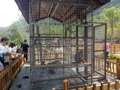 -快活林烧烤(红新路店)