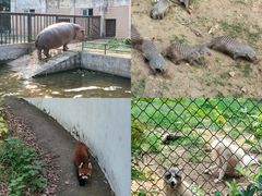 -合肥野生动物园
