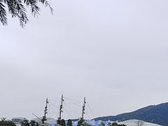 -雨林餐厅(长隆海洋王国店)