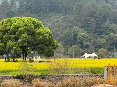 -唐风温泉