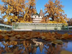 -北京石刻艺术博物馆(五塔寺)