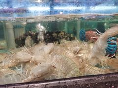 -云庭汇·粤菜海鲜(东盟盛天地店)