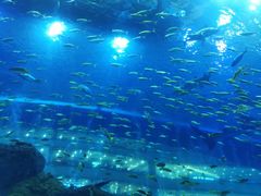 -成都浩海立方海洋公园