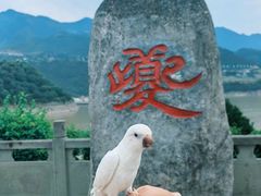 -白帝城·瞿塘峡景区
