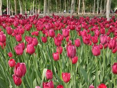 -长春公园(普阳街道)