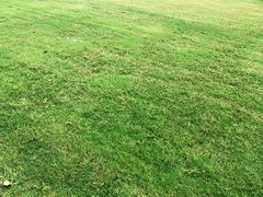 -映月湖中央公园