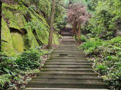 -缙云山景区