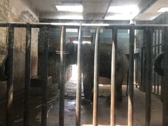 -无锡动物园·太湖欢乐园