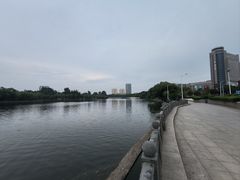 -莱西月湖公园