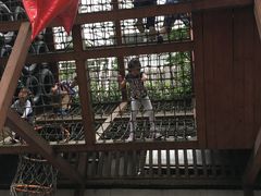 -中国福利会少年宫