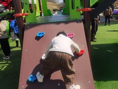 -南通洲际绿博园