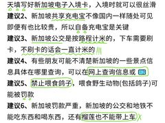 -圣淘沙天际线斜坡滑车