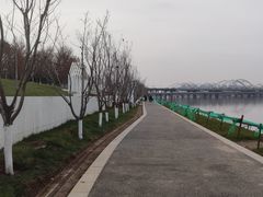 -灞河西岸滨河公园