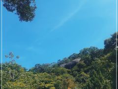 -南普陀素菜馆