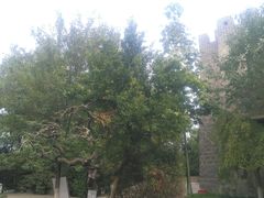 -烟台山景区