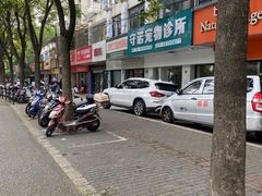 -守诺宠物医院·眼科· 特色牙科·异宠专科(虹口店)