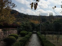 -白马涧龙池景区