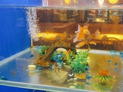 -蚝翅·海鲜粥·烧烤·龙虾季(海曙天一店)