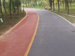 -大兴滨河森林公园