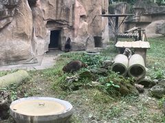 -成都动物园