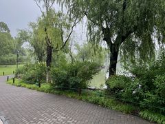 -聚龙湖公园