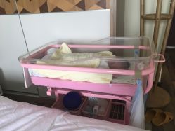 -母仪天下月子中心(光谷店)