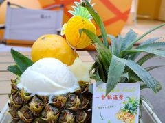 -苏小糖(鼓浪屿三丘田花园店)