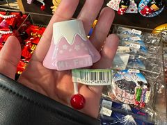 -河口湖车站