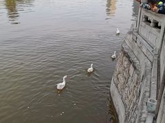 -迎泽公园
