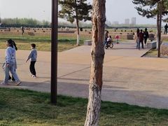 -汉长安城未央宫国家考古遗址公园