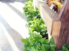 -漫咖啡MAANCOFFEE(清江路店)