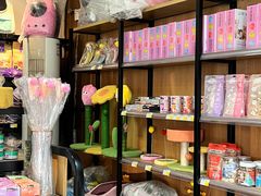 -糯米喵星人总部直营旗舰店·猫舍·幼猫出售