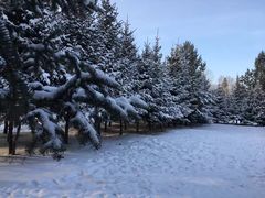 -北极村旅游风景区