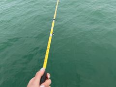 -小猫钓鱼海钓俱乐部(椰梦长廊店)