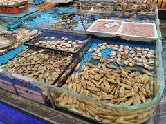 -大连湾旭日·家宴·海肠捞饭(马栏广场店)