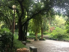 -晓港公园