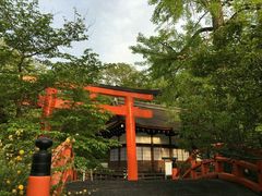 -一蘭拉面(新宿中央东口店)