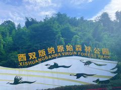 -西双版纳原始森林公园
