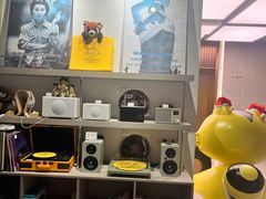 -浣熊唱片店(上海影城店)