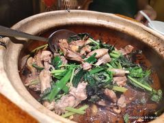 -大鸽饭(岗顶店)