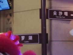 -十六蒲(桂林路店)