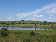 -御道口草原森林风景区