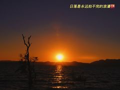 -呈贡滇池生态湿地公园