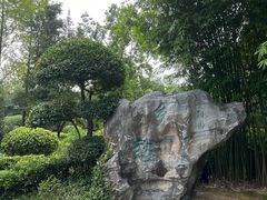 -武汉园博园(武汉自然博物馆)