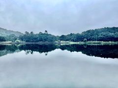 -海南热带雨林国家公园吊罗山景区