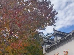 -塔川景区