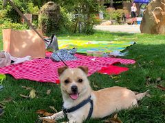 -桃园农庄·桃源宴