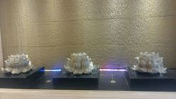 -北京七彩云南翡翠珠宝旗舰店(月坛店)