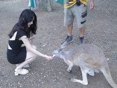 -可伦宾野生动物保护区